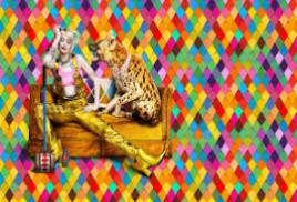 Birds of Prey And the Fantabulous